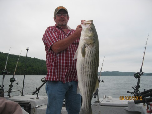 Nice Striped Bass